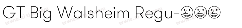 GT Big Walsheim Regu字体转换